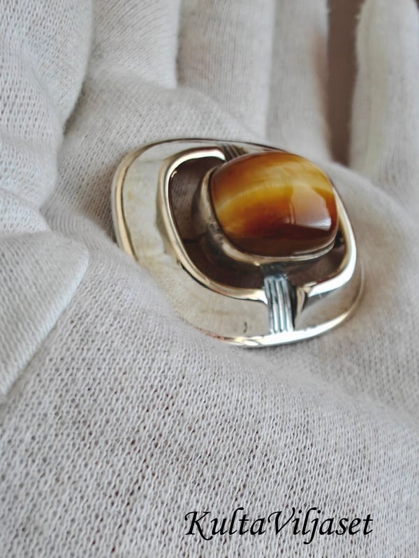 Hopeasolki tiikerinsilm&auml;ll&auml;, Erik Granit